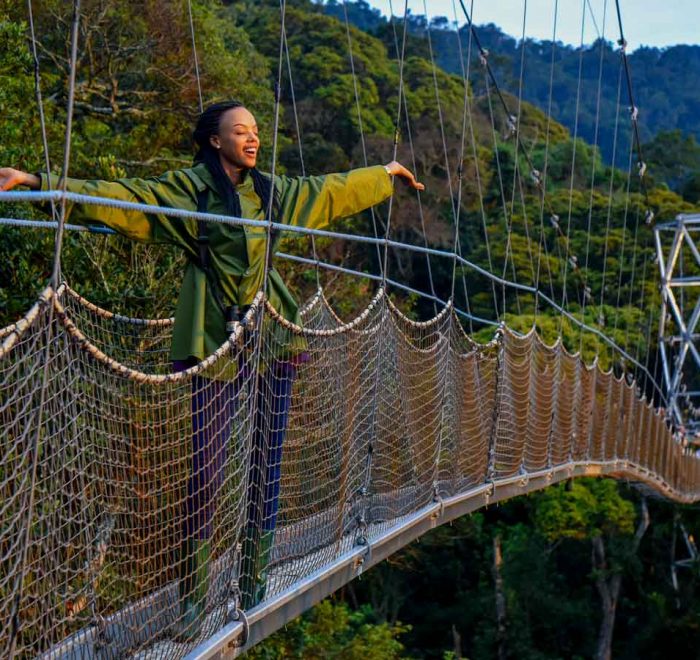 3-days-rwanda-chimpanzee-safari-with-canopy-walk-in-nyungwe