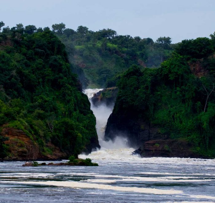 5-days-murchison-falls-and-gorilla-trekking-safari