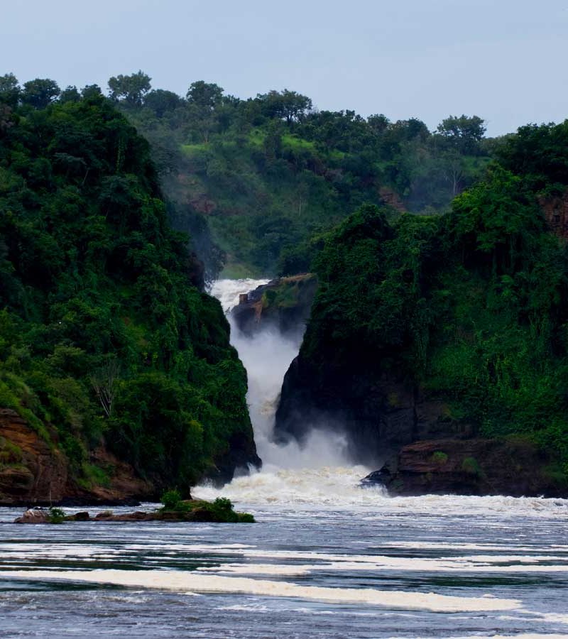 5-days-murchison-falls-and-gorilla-trekking-safari