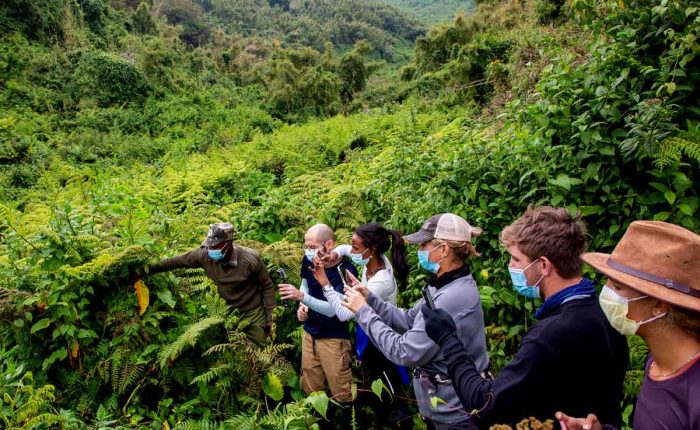 5-days-uganda-rwanda-gorilla-safari