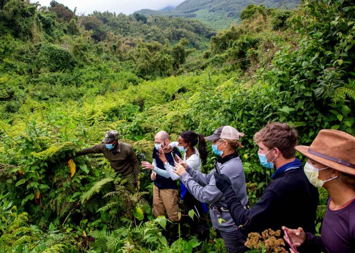 5-days-uganda-rwanda-gorilla-safari