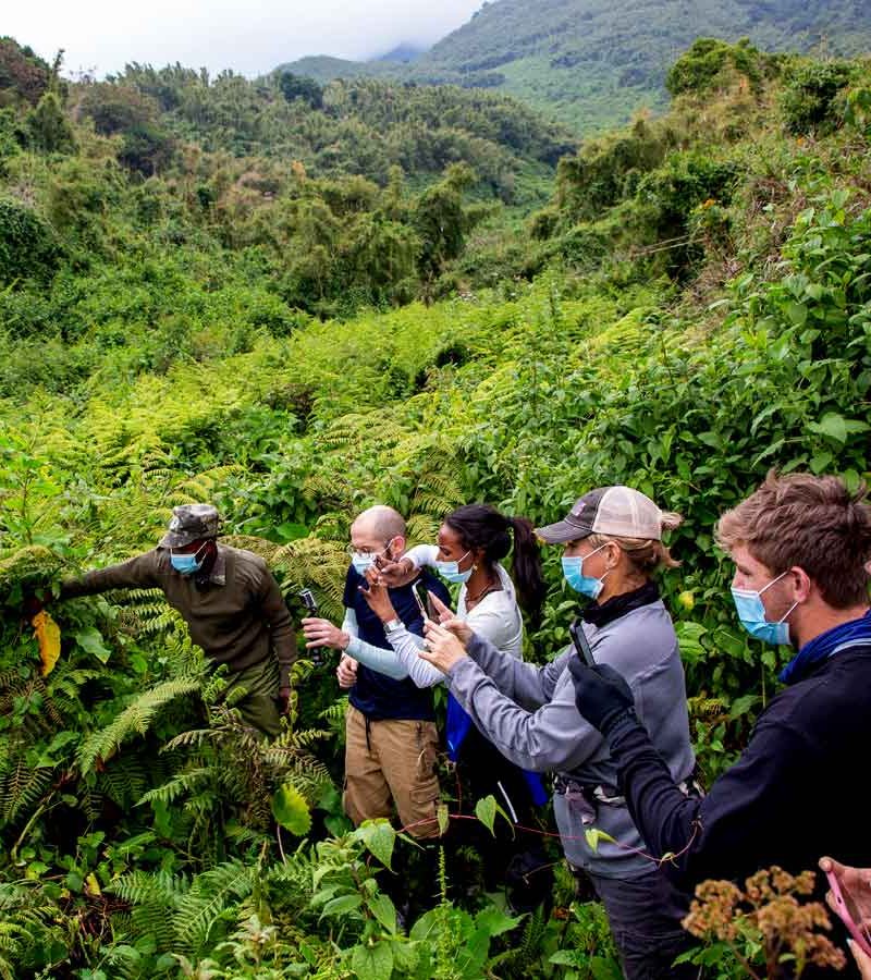 5-days-uganda-rwanda-gorilla-safari