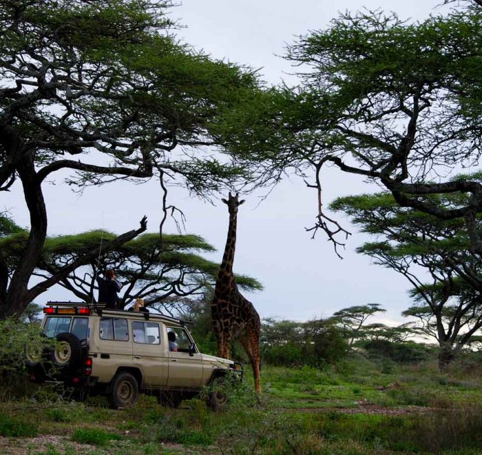 7-days-murchison-falls-and-queen-elizabeth-safari