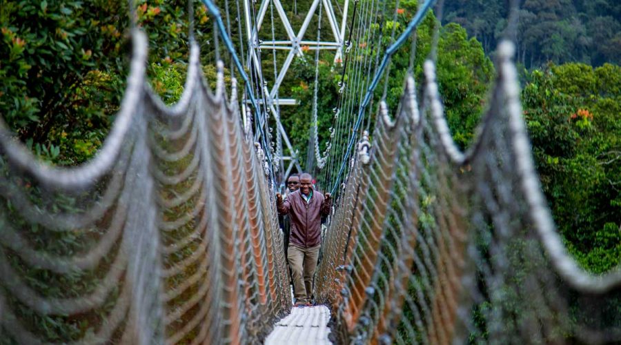 7-days-rwanda-gorilla-and-wildlife-safari